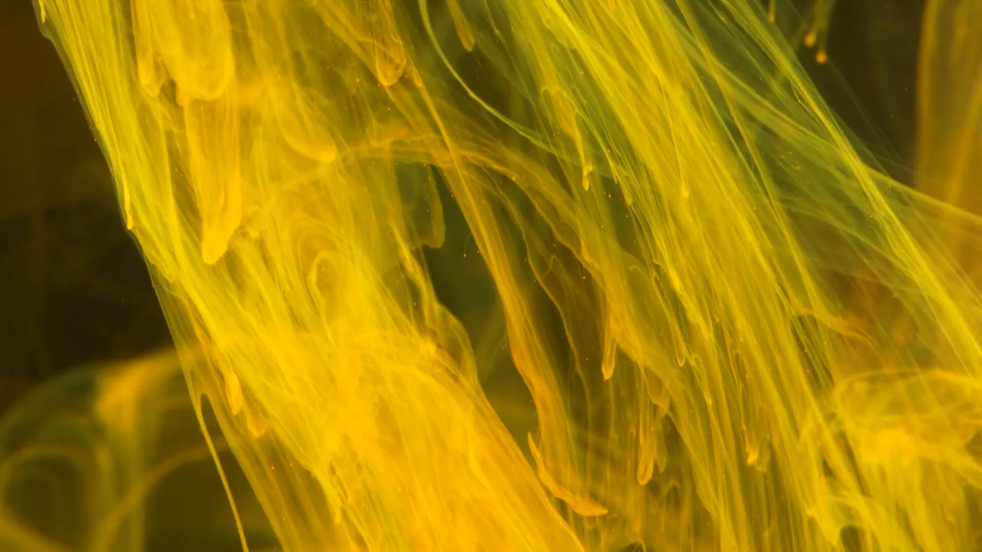 Golden ink flowing through water
